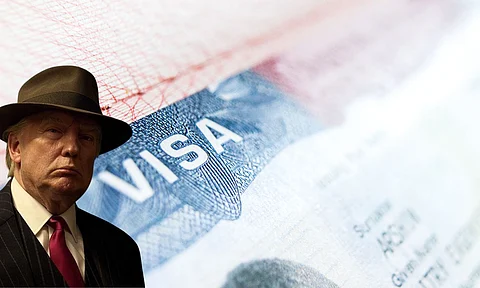 US President Donald Trump visa background