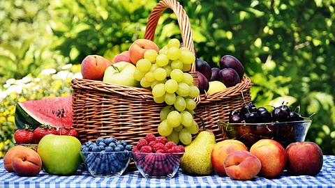 fruits