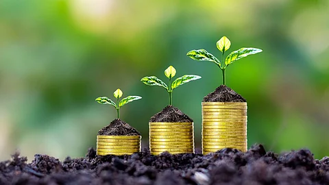 mutual funds