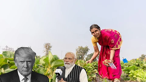 trump, modi