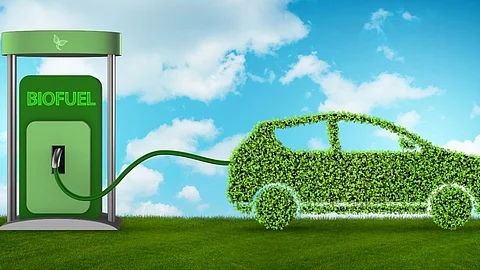 Biofuel