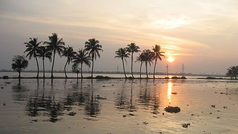 backwaters, kerala
