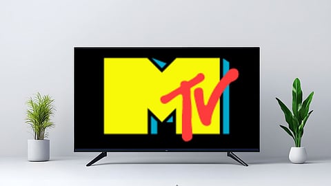 Television screen displaying the classic MTV logo with a yellow background and red lettering, placed on a minimalist table with green indoor plants on both sides