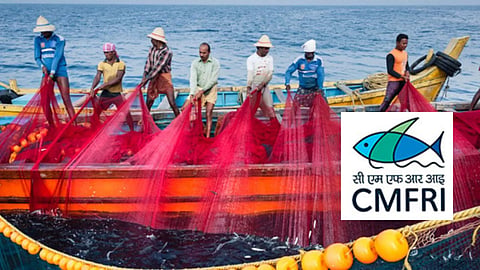CMFRI report