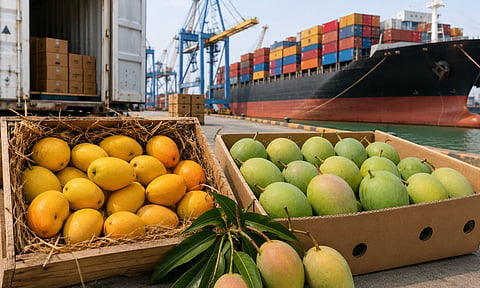 Realistic photo of mango export crates placed at a shipping dock, featuring naturally ripened yellow mangoes in straw-filled wooden boxes and fresh green mangoes in cardboard cartons beside a large cargo container ship at an industrial port.