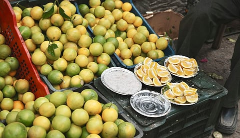 ₹80 രൂപയില് നിന്ന് ₹280ലേക്ക്, ചെറുനാരങ്ങയ്ക്ക് രണ്ടുമാസത്തിനിടെ തീവില; പ്രതിസന്ധിയിലായി ബേക്കറികളും ചെറുകിട അച്ചാര് യൂണിറ്റുകളും