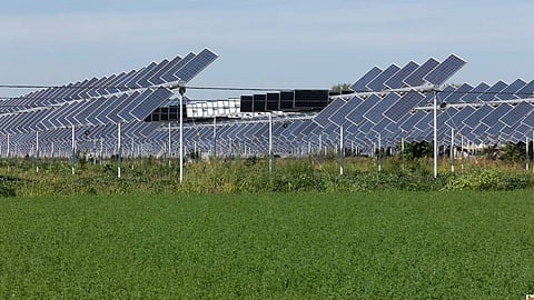 Agrivoltaic