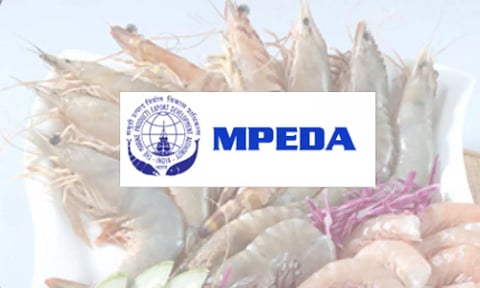 മത്സ്യകര്ഷകര്ക്കായുള്ള ആദ്യ എംപിഇഡിഎ കോള്സെന്റര് ആരംഭിച്ചു