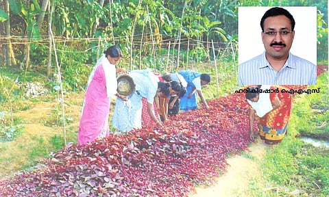 സര്ക്കാരിന്റെ നിര്വഹണ ഏജന്സിയായി കുടുംബശ്രീയെ കാണുന്നുവെന്നത് അംഗീകാരം; ഹരികിഷോര് ഐഎഎസ്