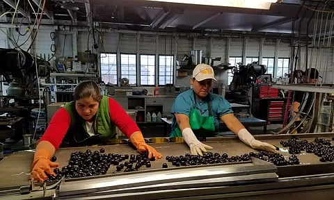 ഭക്ഷ്യ-ഭക്ഷ്യോല്പ്പന്ന മേഖലയില് സംരംഭം തുടങ്ങാന് ഈ സര്ട്ടിഫിക്കറ്റുകള് നിര്ബന്ധം