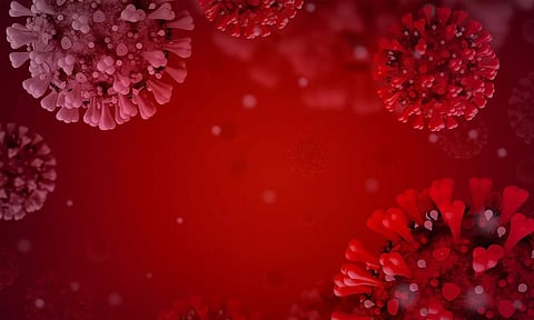 നായകളില് പുതിയ കൊറോണ വൈറസ്; മനുഷ്യലേക്കും പടരും