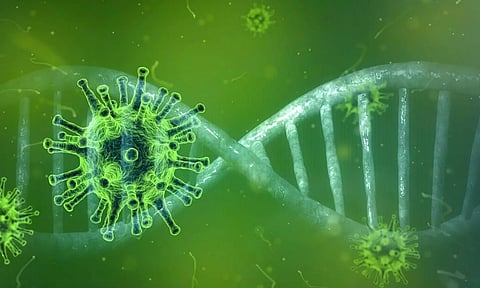 കോവിഡും വൈറസ് ഭീതിയും പലയിടങ്ങളിലും പടരുന്നു!