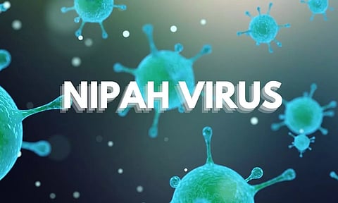 nipahvirus