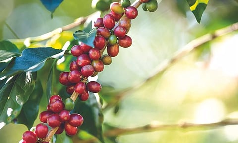 Food photo created by jcomp - www.freepik.com