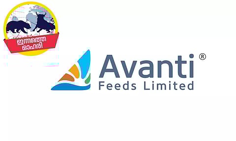 ചെമ്മീന് കയറ്റുമതിയില് ചാകര പ്രതീക്ഷിച്ച് ആവന്തി ഫീഡ്സ്, നിക്ഷേപകര് അറിയാന്