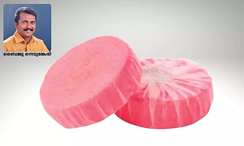 എയര് ഫ്രഷ്നര് നിര്മാണം: കുറഞ്ഞ മുതല്മുടക്കില് മികച്ച ലാഭം