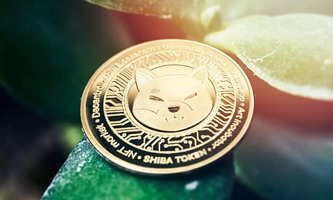 പത്തോ അതോ പതിനായിരം വര്ഷമോ, ഷിബാ കോയിന് എന്ന് ഒരു ഡോളറില് എത്തും ?