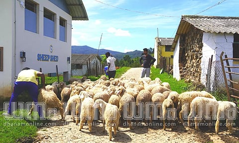 കൊടൈക്കനാല് 'ഔട്ട്ഡേറ്റഡ്' ആയി, 'ചാര്ളി'മാര്ക്ക് വേണ്ടത് ഉള്ഗ്രാമങ്ങള്