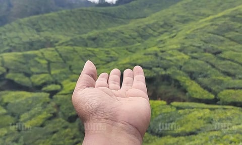 യാത്രാപ്രേമികളെ, നിങ്ങള് ഒരിക്കലെങ്കിലും പോയിരിക്കണം ഈ ഹില് സ്റ്റേഷനുകളിലേക്ക്