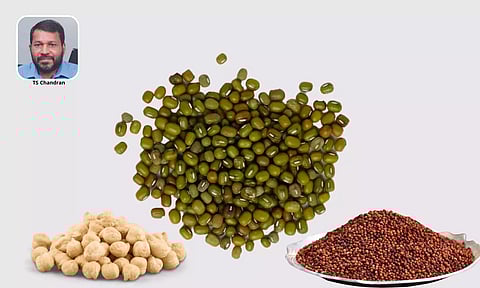 മികച്ച വരുമാനം നേടാം: ഹെല്ത്തി മിക്സിലൂടെ