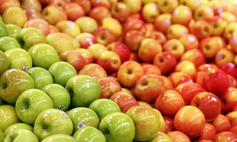 ഇറാനിയൻ ആപ്പിളിന് പ്രിയമേറുന്നു, എന്തുകൊണ്ട് ?