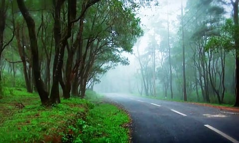 https://www.keralatourism.org/