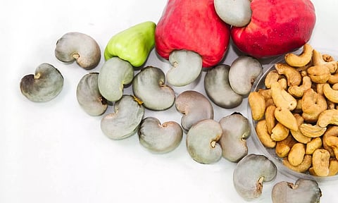 കേരളത്തിലെ കശുവണ്ടി വ്യവസായത്തെ ആര് രക്ഷിക്കും?