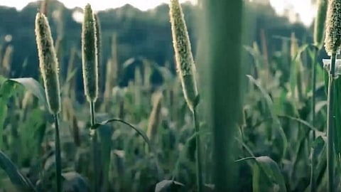 image:@lenovo/twitter