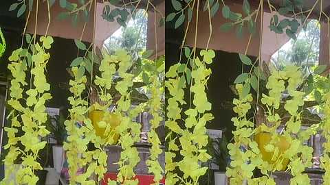 വിഷു കണി ഒരുക്കാന് പ്ലാസ്റ്റിക്ക് കണിക്കൊന്ന, വിലയും തുച്ഛം