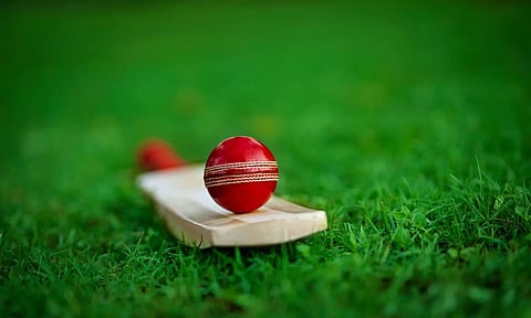 cricket Bat and Ball