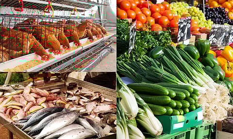 vegitables, fish, chicken