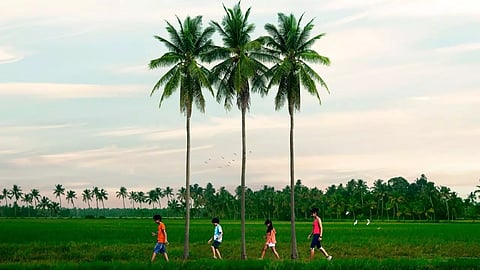 Image courtesy: canva