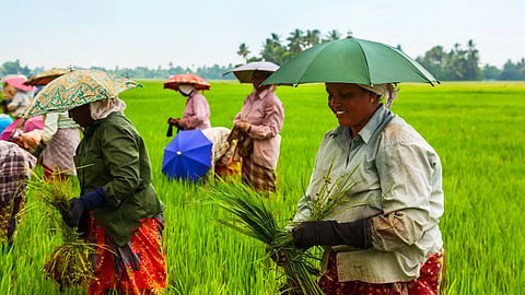 Image courtesy: canva