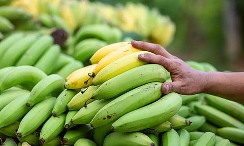 Banana