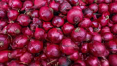 Red Onion