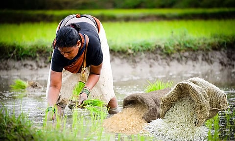 Indian Farmer, Rice bags