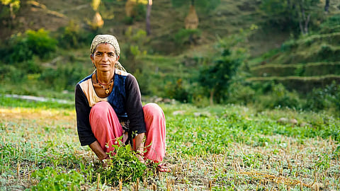 Wage payments under MGNREGS now only through Aadhaar-based system