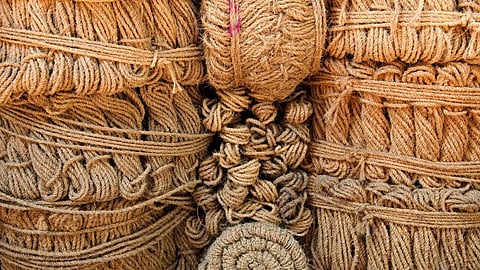 Coir Product