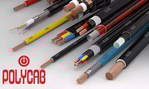 Image : Canva and Polycab