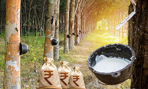 Rubber trees and Rupee sacks