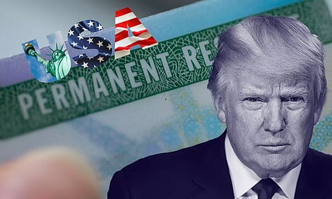 donald trump and usa green card