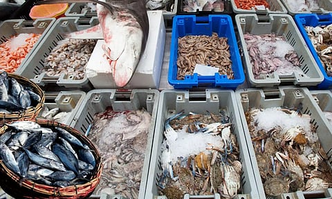 കേരളത്തില് മീന്വില തലകുത്തി വീഴും? ആദ്യ സൂചന ചെമ്മീനില്; പ്രതിസന്ധിയായി കണ്ടെയ്നര് നിരക്ക്