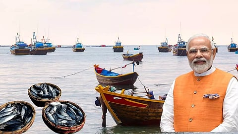 കേരളത്തിന്റെ മത്സ്യമേഖല ഇനി കുതിക്കും; നടപ്പാകുന്നത് അഞ്ച് കേന്ദ്രപദ്ധതികള്, നേട്ടം കൂടുതല് ഈ ജില്ലകള്ക്ക്