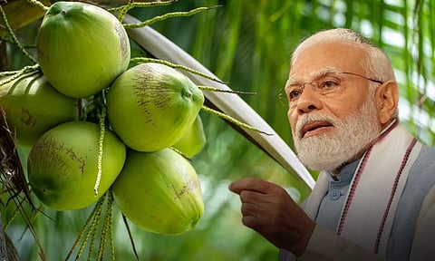 മോദിയുടെ 'തീരുവ' നീക്കത്തില് തേങ്ങ വില അടിച്ചുകയറുന്നു; കര്ഷകര്ക്ക് ലോട്ടറി, അടുക്കളയില് വേദന