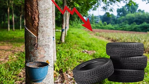 rubber plantation and tyre