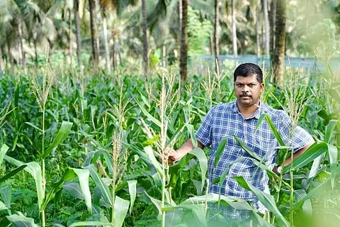 കോവിഡ് പ്രതിസന്ധിയില് കൃഷിയിലേക്ക് ഇറങ്ങാം, മൂല്യവല്ക്കരണത്തിലൂടെ പലമടങ്ങ് നേട്ടം കൊയ്യാം