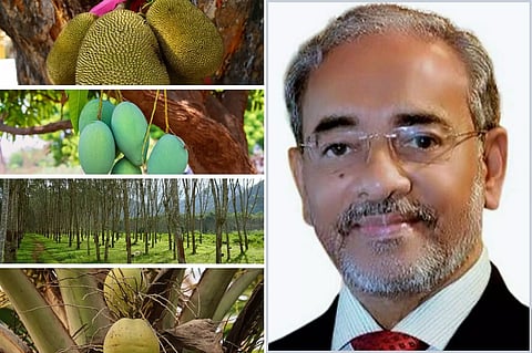 നാട്ടില് തിരിച്ചെത്തുന്ന പ്രവാസികള് നിരാശരാകണ്ട: ഇതാ അവര്ക്കായി 7 ബിസിനസ് അവസരങ്ങള്