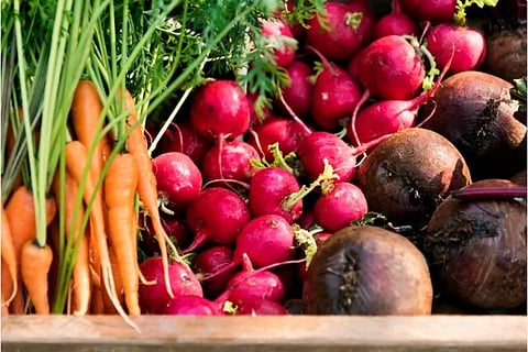 കൃഷിയും മികച്ച സംരംഭമാക്കാം: ലാഭം നേടാന് മൂന്നു വഴികളിതാ…