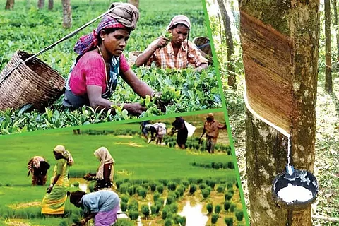 മഴ ചതിക്കില്ലെന്ന് പ്രവചനം ; സമ്പദ് വ്യവസ്ഥയ്ക്ക് ഗുണകരമാകും
