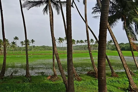 കോവിഡ് ഭൂമിവില കൂട്ടിയോ കുറച്ചോ? സ്ഥലക്കച്ചവടക്കാര് പറയുന്നത് ഇങ്ങനെ
